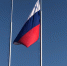 Сегодня мы отмечаем День Государственного флага Российской Федерации! - Газета Трибуна