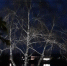 Воздух из северных морей принесет похолодание на Кубань - Газета Трибуна