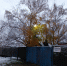 На Кубани ожидается смена характера погоды - Газета Трибуна