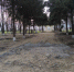 Благоустройство Красносельского парка продолжается - Газета Трибуна