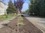 На Кубани ожидаются дожди в середине рабочей недели